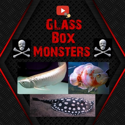 Glass box monsters