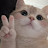 @eomesh