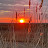 @AggieMarieKathleen