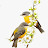 @Satishtitu-kpd
