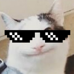 @beluga_official profile picture