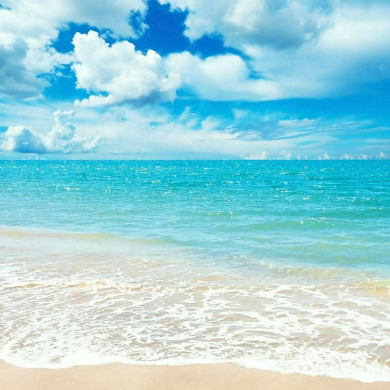 Vive Libre