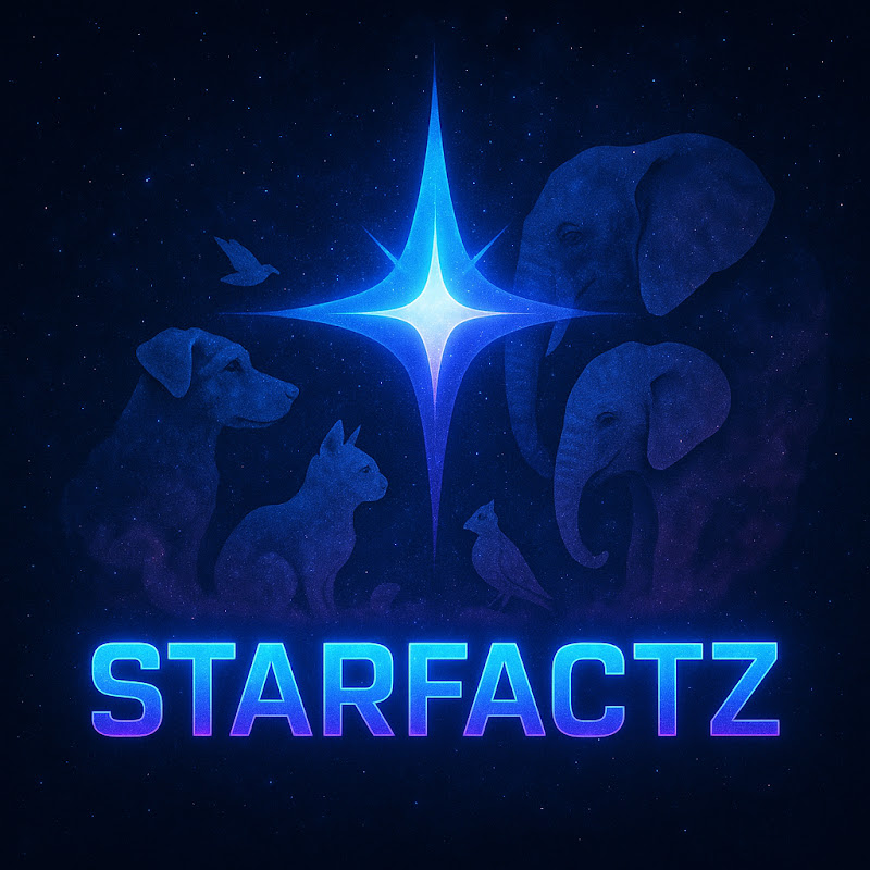 Starfactz
