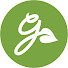 WljeRS1ULC8-channel-avatar-Gardening Know How