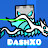 DashX0