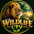 MSS6_nRDK-U-channel-avatar-Wildlife CTV 