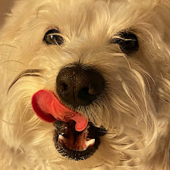 Goodboi Slasher