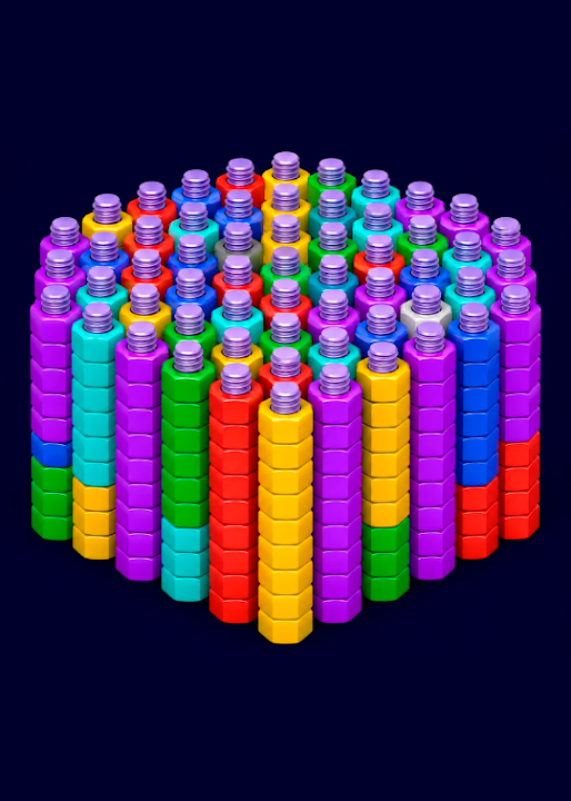 Bolts Nuts - Sorting Master — cover art