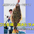 eF2Bmn7shMo-channel-avatar-根魚商会