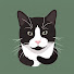 yLgpKPS6WAM-channel-avatar-Pingo Focus