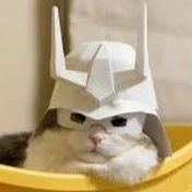 ニャア少尉【絶賛降格中】