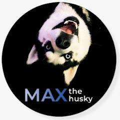Max The Husky Avatar