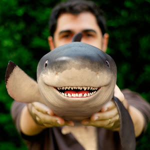 UCSDf1B1rYRkNhtl4uxeQM1w YouTube channel image