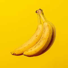 サル山ゲームズ / Saruyama Games