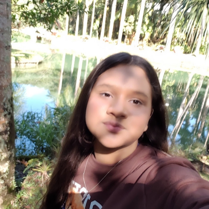 laivinha 
