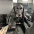 L9YcmQk9HHI-channel-avatar-Dr Tracy -Veterinarian