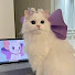 DdCtj3HQOO0-channel-avatar-to_fie