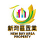 新灣區置業- New Bay Area Property
