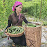 EHy31wmgRIQ-channel-avatar-Triệu Liên