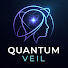 Ro_2u8B2Qec-channel-avatar-Quantum Veil