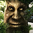 e_-Xp3nS0hs-channel-avatar-DutchTree