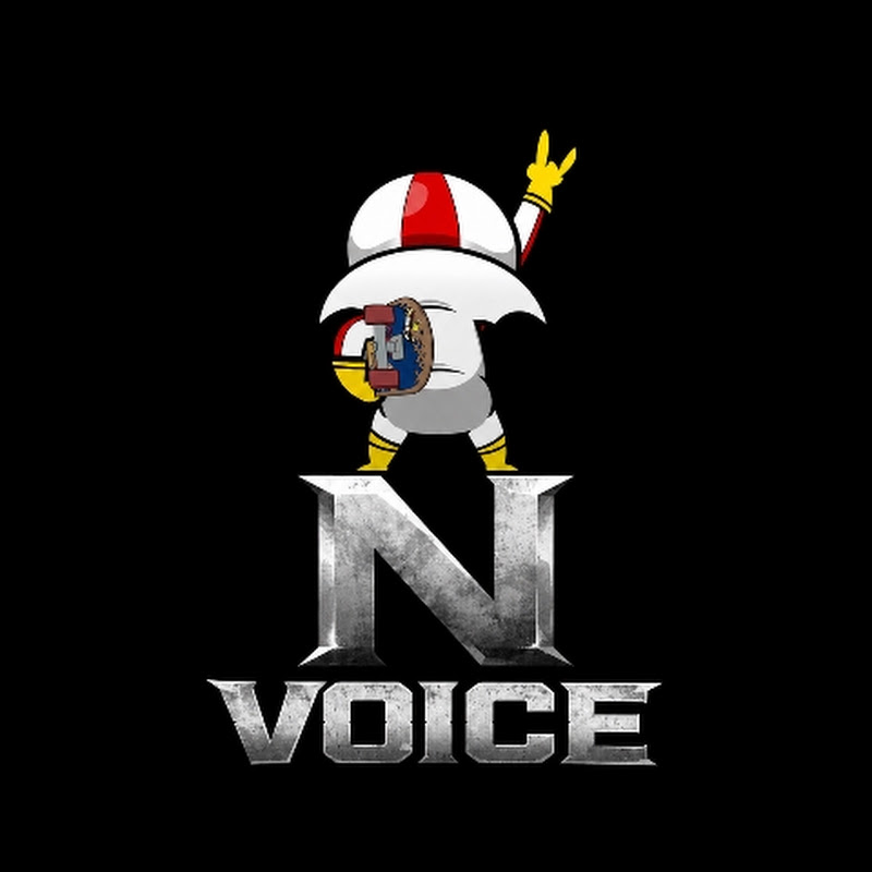 N Voices 