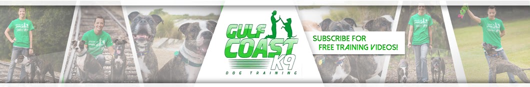 Gulf Coast K9- Dog Training Sarasota Awatar kanału YouTube
