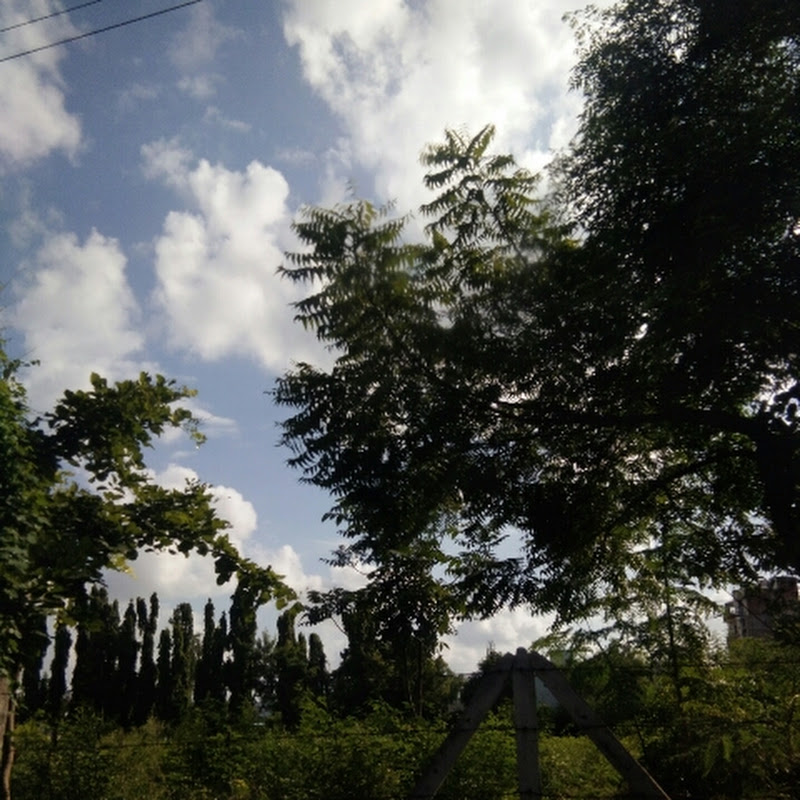 Vedashree