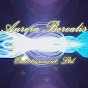 Aurora Borealis, Ltd. logo