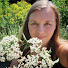 QHEWmzUQy80-channel-avatar-Spiraea Herbs