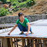 wh_D2_a4myo-channel-avatar-Country Grove Farm and 3 more