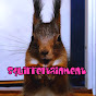 Squirreltainment logo