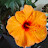 @laliberte...8965