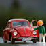 4-L_5GfHr8Y-channel-avatar-Toys and Wheels Live