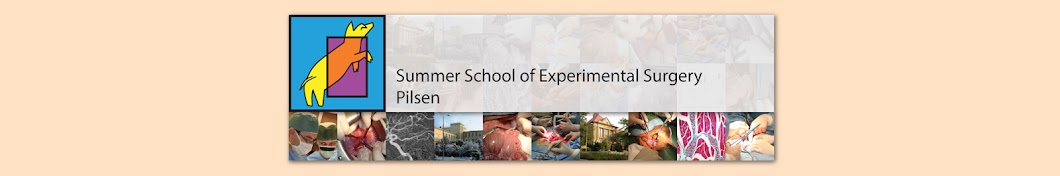 Summer School of Experimental Surgery Pilsen Avatar channel YouTube 