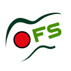 Overdrive Fun Studio net worth