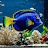 @ExoticFishesAI-LB Avatar