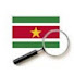 tcwvvUtlhgQ-channel-avatar-Suriname View