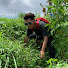 TccChKY_Mu8-channel-avatar-Bocah Pecicilan TT