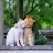 @ابومحمد-غ3ش4ظ