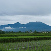 Musikgalau-s