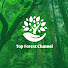 qdRHOpI-Tlk-channel-avatar-Top Forest Channel