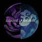 Eliaine Lanaurel ⸆⸉