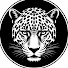4pJjHlrTFOo-channel-avatar-State of the Wild