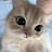 @BouShiraz