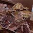 u3Ai-MVbfec-channel-avatar-Red Rocks Crushing 