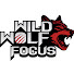 9Q_ox0_1QyI-channel-avatar-Wild Wolf Focus