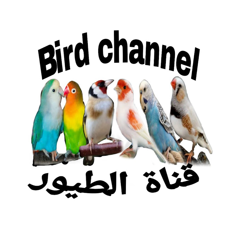 Bird channel قناة الطيور