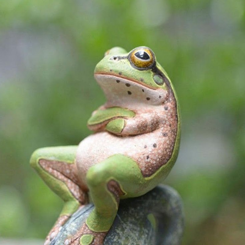 Mundo Animal Curioso