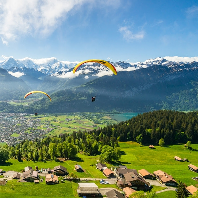 𝙏𝙝𝙚 𝙨𝙚𝙖𝙧𝙘𝙝 𝙛𝙤𝙧 𝙩𝙧𝙪𝙩𝙝